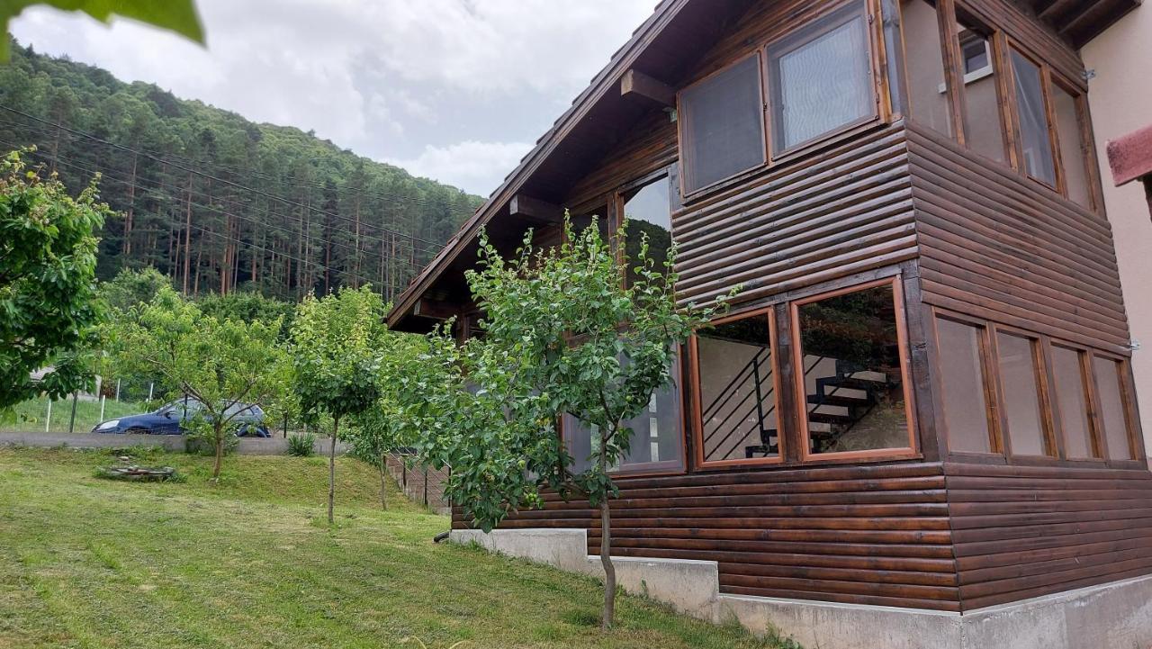 Forest Apartment Sapareva Banja Exteriör bild