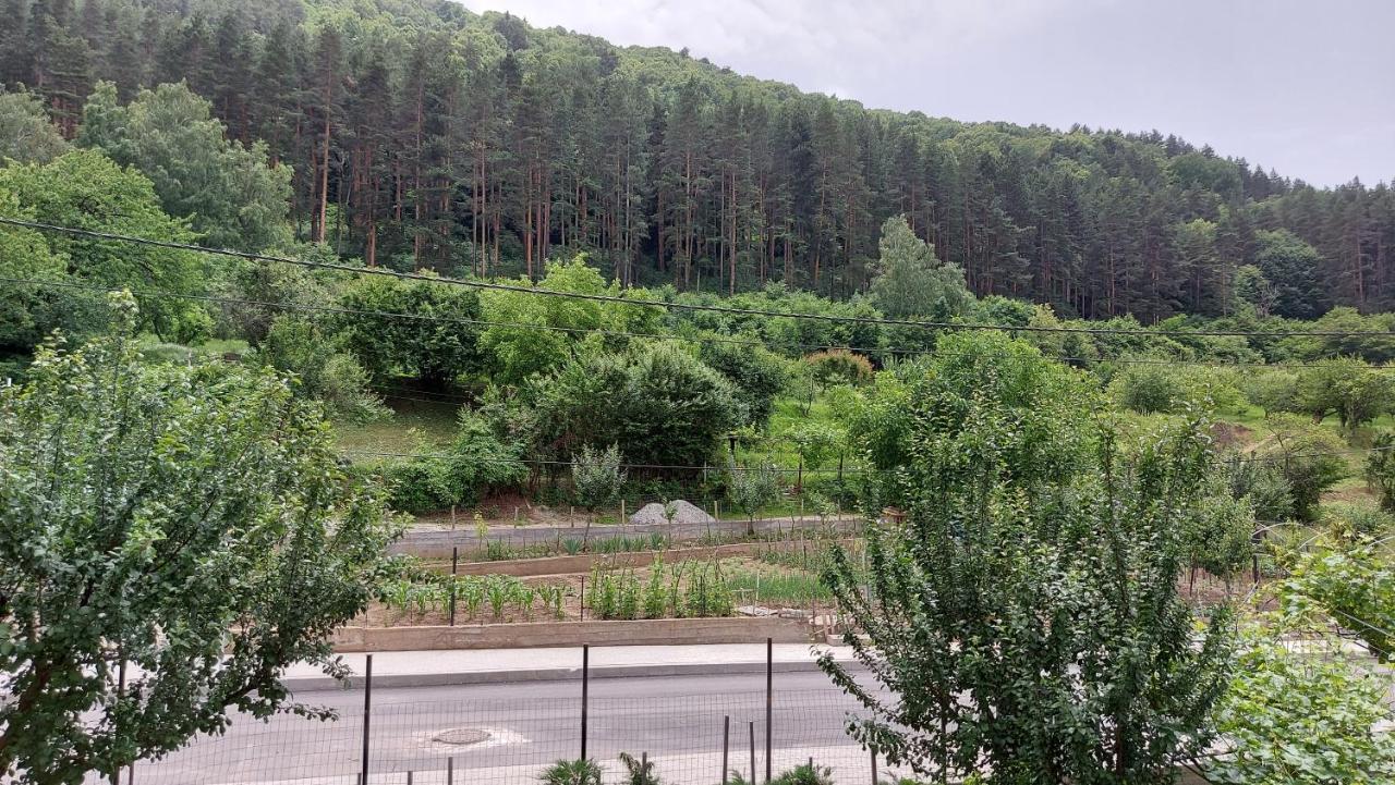 Forest Apartment Sapareva Banja Exteriör bild